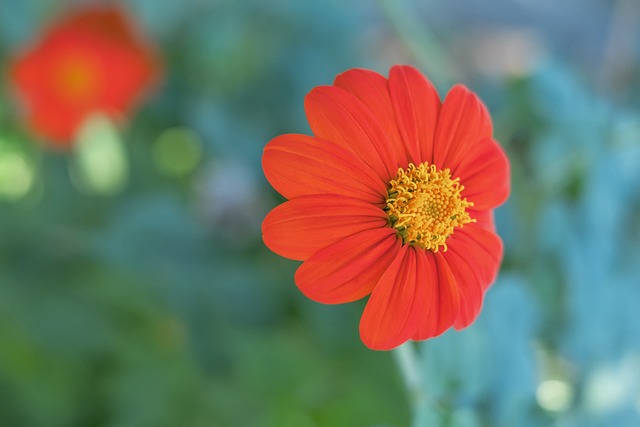 西媒：哈兰德叫停与曼城的续约，糟糕战绩让他重新思考未来.