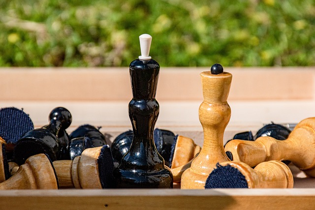 角逐的舞台 角逐的舞台