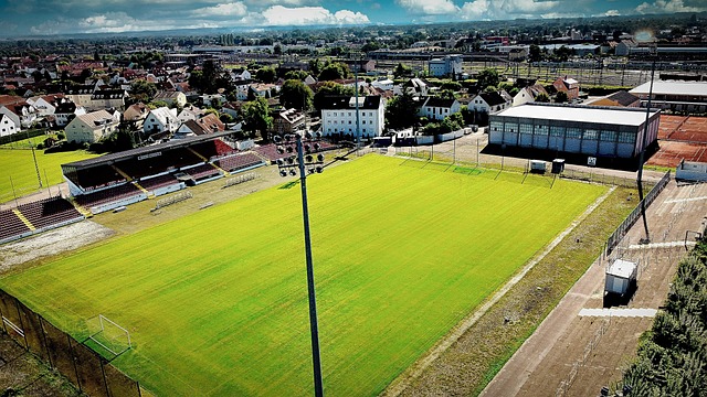 为游戏的战 为游戏的战