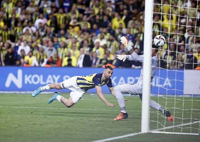 仅有超人的 仅有超人的