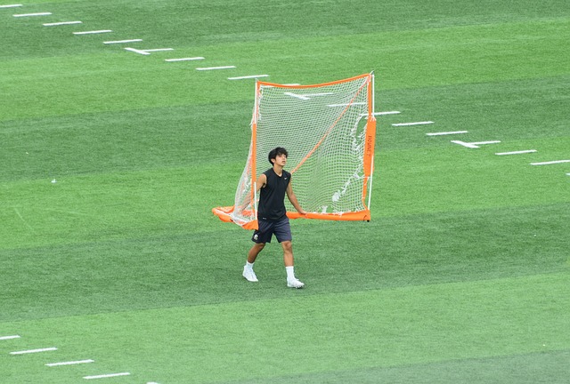 素之一