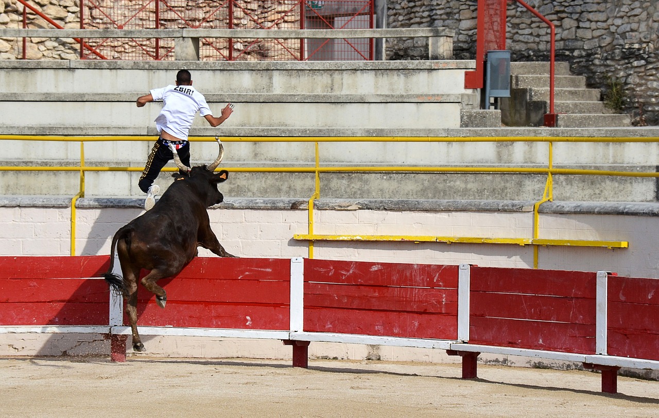 射手榜不仅